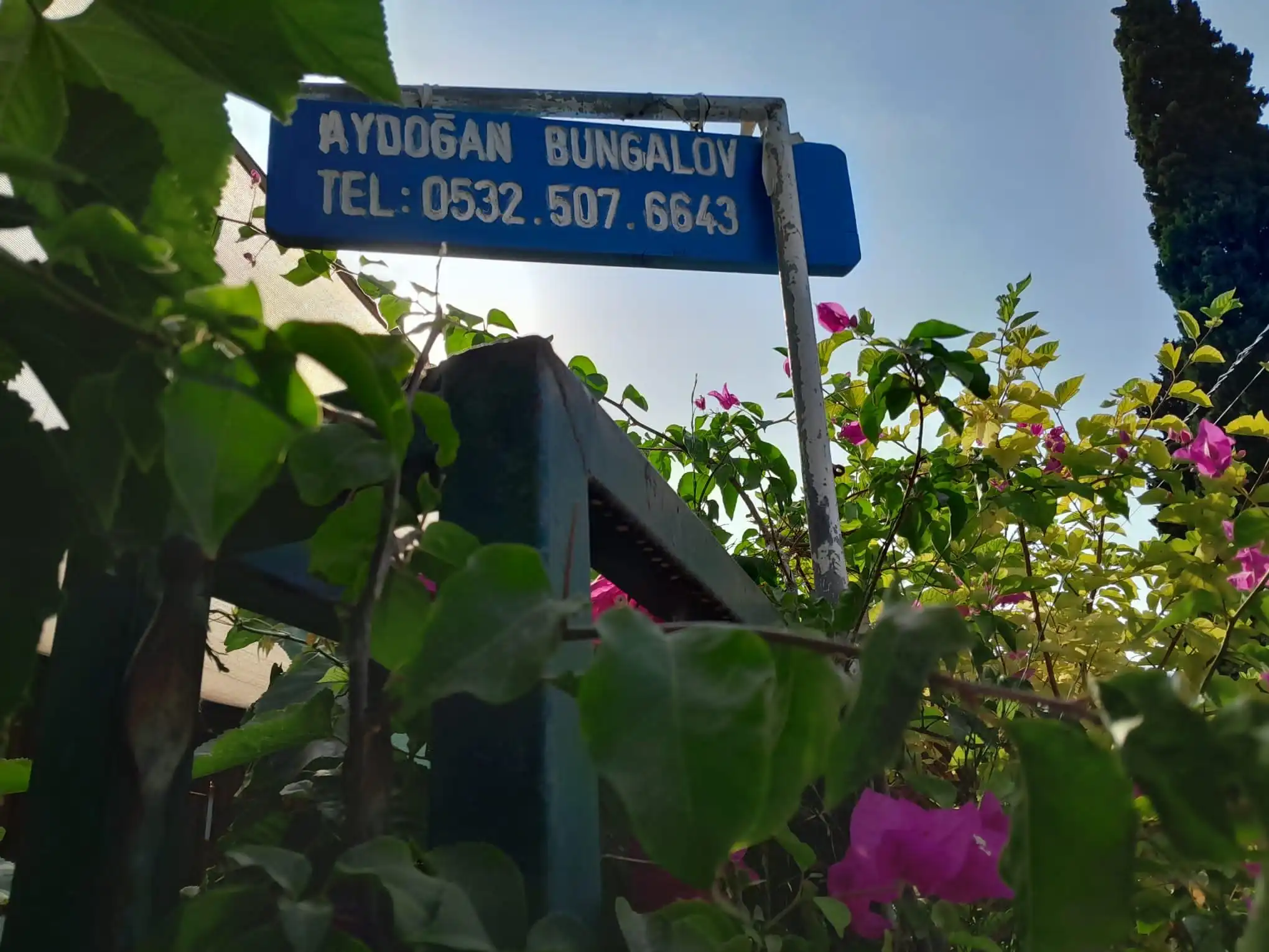 Instagram Paylaşımı