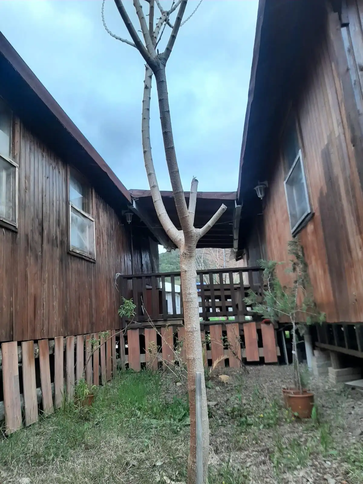 Aile Bungalowu